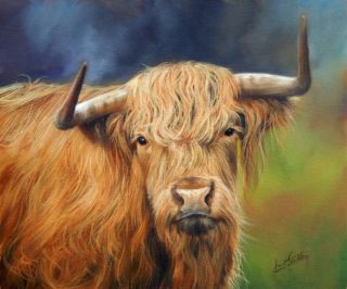 Highland Cow Superb New David Stribbling Oil Painting