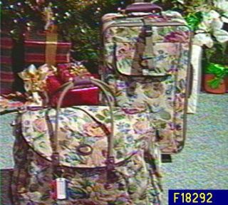American Tourister 2pc Tapestry Luggage Set —