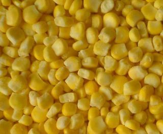 our freeze dried yellow sweet corn is preserved using a process called