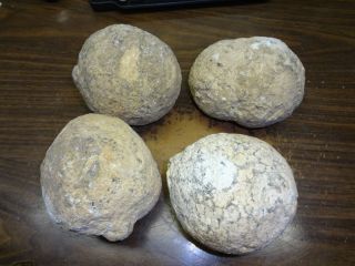  Wholesale Lot of 4 Las Choyas Crystal Geodes