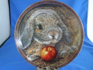 bunny tales apple dumplin vivi crandall plate search