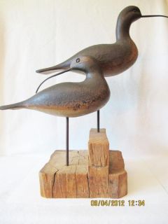 Hudsonian Curlew Pair Sgn.Limited Edition Wood Shorebirds Decoys