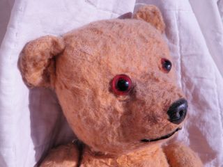 NoReserve DARLING Early Mid 1900s BEAR Glass Eyes NOT STEIFF