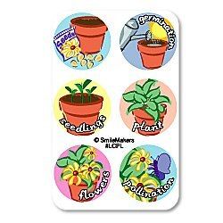 60 Plant Life Cycle Stage Metamorphosis Dot Stickers Teacher Student