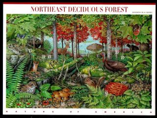  3899 Nature of America NE Deciduous Forest Mint Sheet of 10 37c