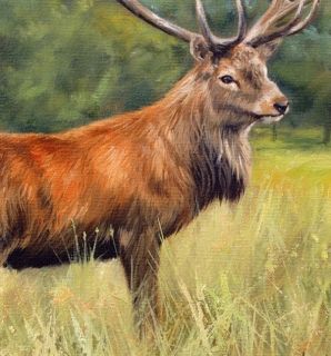 Red Deer New David Stribbling Oil Painting