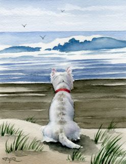 West Highland Terrier Westie Watercolor Art Signed DJR