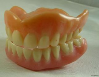 Hard Plastic Partial Dentures Mouth Teeth Iowa Estate