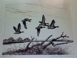 David Hagerbaumer Original Large Etching Pacific Brant Geese Hand