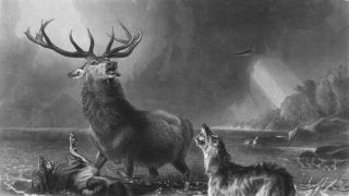 Deer The Stag at Bay Landseer Antique Print C1880