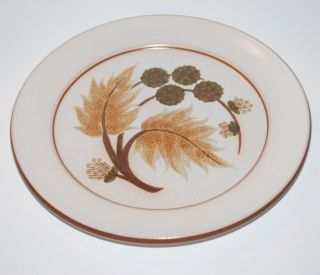 Denby Cotswold 9 7 8 Dinner Plate Made in England