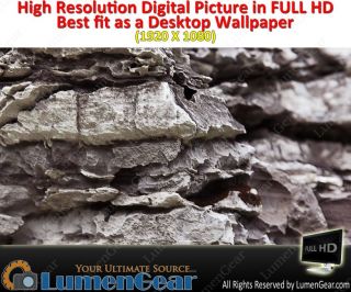 Full HD Digital Picture Desktop Wallpaper Grudge Texture in Real Stone