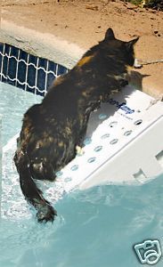 Super Skamper Ramp Dog Pet Water Pool Boat Safety Ramp