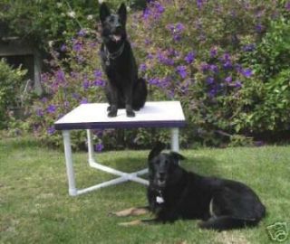 Dog Agility Equipment Pause Table Includes Both Base Top