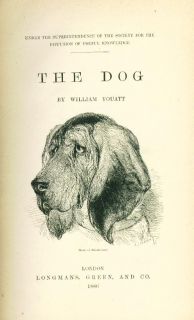  Dog Book 1886 The Dog by Youatt Veterinary Interest Diseases Dogs