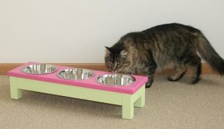 Raised Elevated Dog Food 3 Dish Bowl Stand Feeder Cat