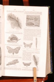 1864 7 2vol Dictionnaire General Des Sciences Privat Deschanel
