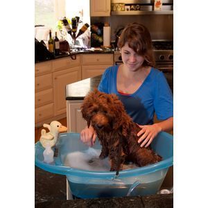 Pet Gear Pup Tub Dog Bath Tub Grooming Wash Washing Shampooing Small