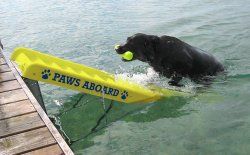  Pet Dog Doggy Boat and Dock Ladder Ramp Safety Steps 5200