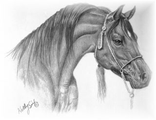 Custom Arabian Horse Pencil Drawing Type Design Sweatshirt Youth to