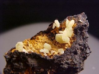  Chrome Cerussite Crystal Cluster Dundas Tasmania EX Nikischer