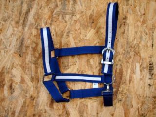  , GREEN, BLUE & RED STRIPPED IN WHITE VERY FANCY DRAFT HORSE HALTERS
