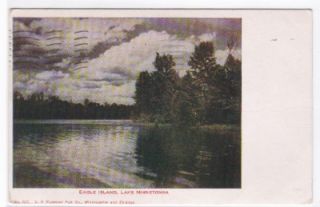 Eagle Island Lake Minnetonka MN 1910 Hammon Postcard