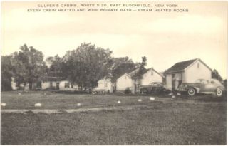 NY East Bloomfield Culvers Cabins Albertype M17901