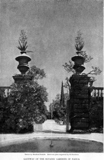  Venetia Genoese Villas Edith Wharton Villa Scassi 1904 Part 6