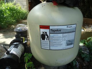 Used Tagelus Sand Filter and Dynamo Pump for The Pool