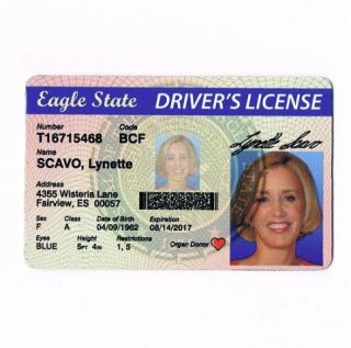Desperate Housewives Lynette Scavo Prop Drivers License