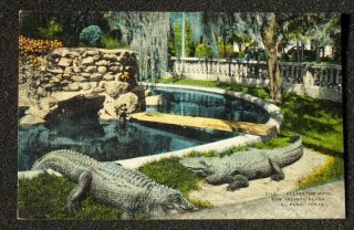 1940s Linen Alligator Pool San Jacinto Plaza El Paso TX
