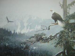 Terry Isaac on Eagles Wings Eagle Print Artist Proof