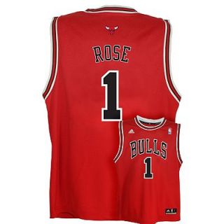 Derrick Rose Chicago Bulls Kids Boys NBA Youth Jersey Medium 10/12