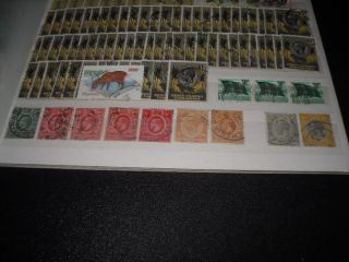 Commonwealth collection in stockbook, all stamps shown in 17 pictures