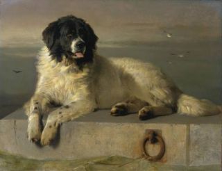 Distinguished_Member_of_the_Humane_Society_by_Sir_Edwin_Landseer