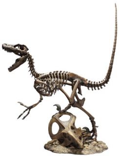  Skeleton Model Griffon Enterprises Dinosaur Master Fossil New