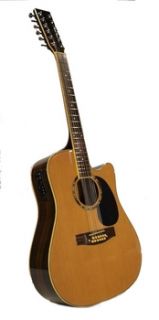 Stock Acoustic Electric 12 String Guitar Pro Model Free Delivery
