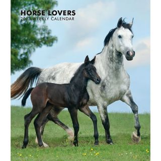 Horse Lovers 2013 Hardcover Engagement Calendar