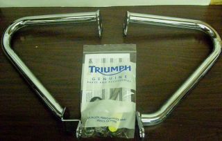 Triumph Bonneville T100 SE Engine Dresser Bars A9758048