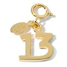 technibond number 13 charm d 20110504010502043~125474