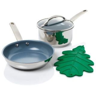 Todd English GreenPan™ with Thermolon™ Stainless Steel Try Me Cook