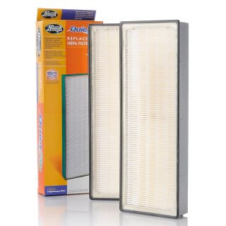 Hunter True HEPA Replacement 2 pack of Model #30960 Filters   AutoShip