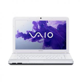 Sony VAIO 14 Intel Core i5 Laptop with HDMI Cable, Song  and
