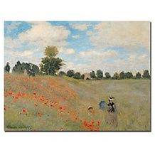 Claude Monet Chrysanthemums, 1878 Canvas Art Print   19 x 14
