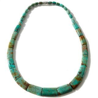  Jay King Anhui Turquoise Sterling Silver Collar Style 17 3/4 Necklace