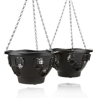  hanging flower baskets 2 pack rating 21 $ 6 00 s h $ 5 20  price