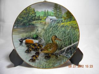 Edwin Knowles Collector Plate Jerners Ducks The Northern Shoveler Bart