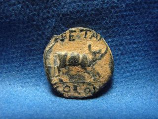 SYRIA Decapolis Petra Elagabalus AD 218 222 E 20mm Archaeology ancient