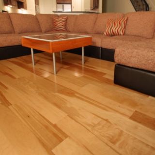 Birch Hardwood Flooring Wood Floor Engineered Natural